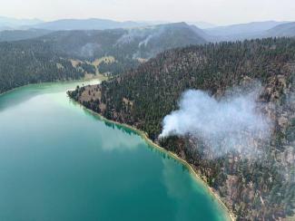 Smoke in the forest by the side of a river